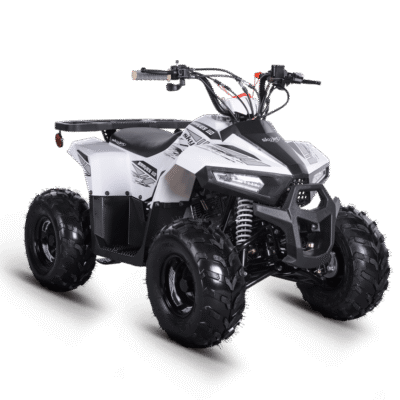 SKYJET BRAVES 110 ATV